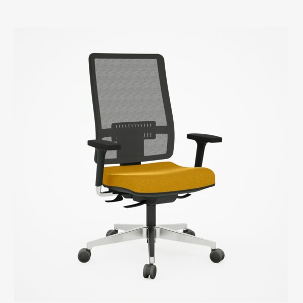 Cadeira Ergonômica Diretor Passion